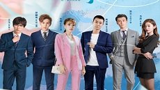 Stray Birds 40. Bölüm Final