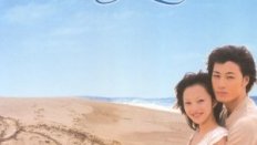 At The Dolphin Bay 2003 (Tayvan) 8. Bölüm