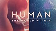 Human: The World Within 6. Bölüm