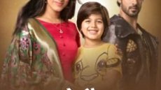 Yeh Hai Chahatein 7. Bölüm