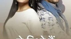 Yeh Rishtey Hain Pyaar Ke 36. Bölüm