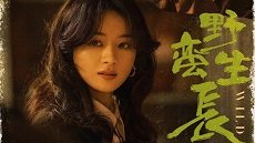 Wild Bloom 4. Bölüm