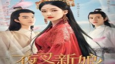 Fierce Bride 17. Bölüm