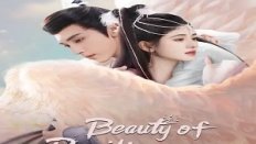 Beauty of Resilience 36. Bölüm