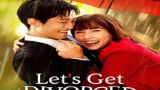 Let’s Get Divorced 9. Bölüm