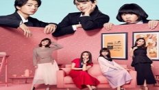 Peanut Butter Sandwich 8. Bölüm