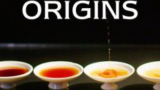 Flavorful Origins 3. Bölüm