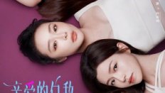 Dear Enemy 2025 Çin 8.Bölüm